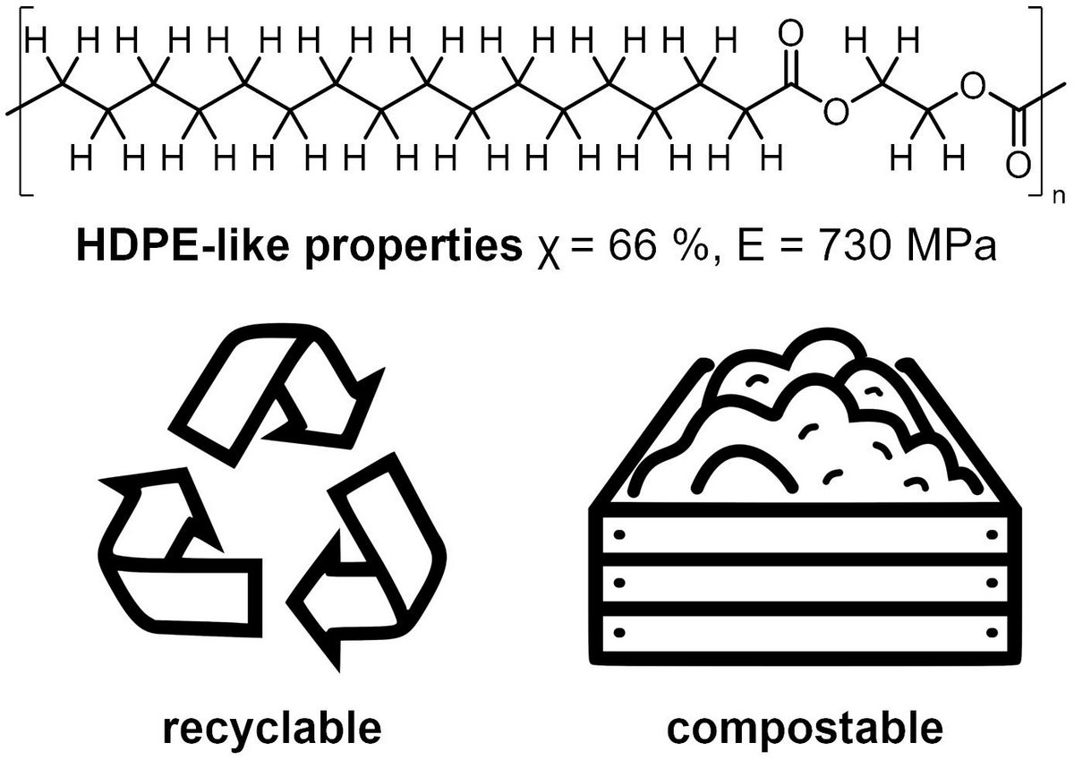 Regarding its properties and structure, the novel polyester resembles high density polyethylene (HDPE), but at the same time, it is recyclable and biodegradable. Copyright: Mecking lab